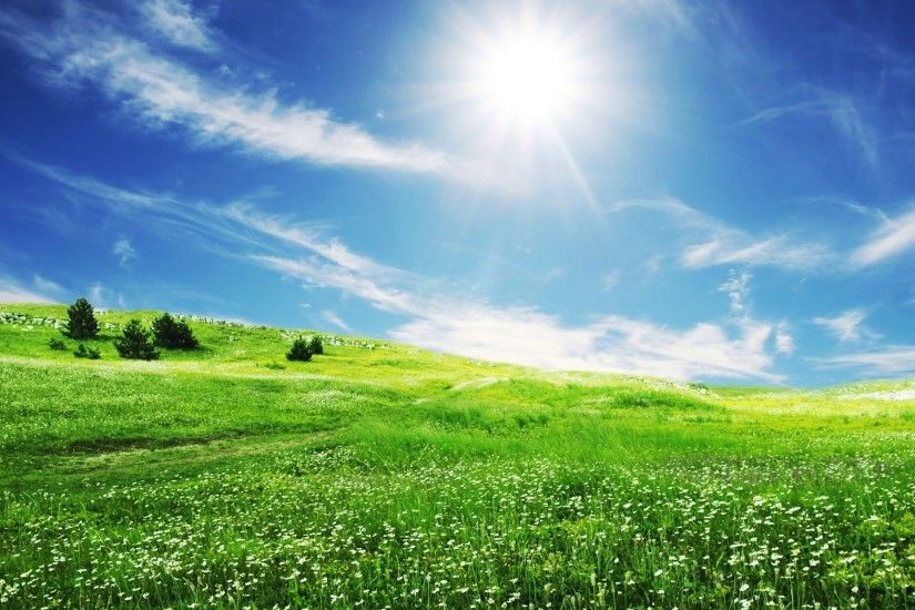 Spring Grass & Bright Sun wallpapers and stock photos