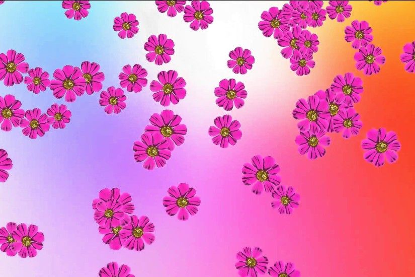 Pink Flowers On color background