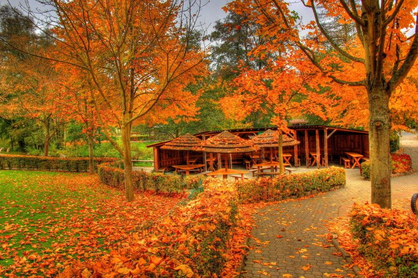 Landscapes Autumn Fall Color Wallpaper 1920x1200 37358