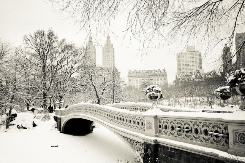 World Winter Snow New York City New York USA Central Park