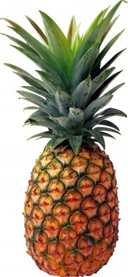free pineapple background 1574x3414 for phones