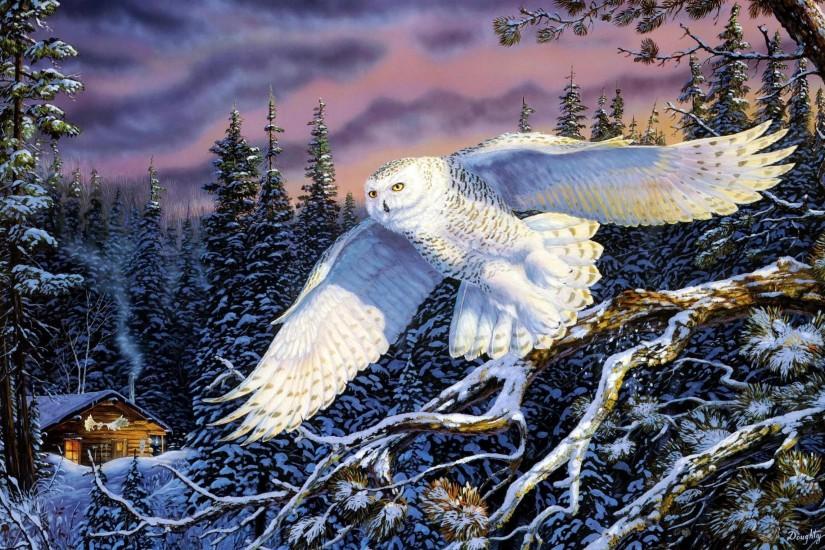 Animal - Snowy Owl Wallpaper