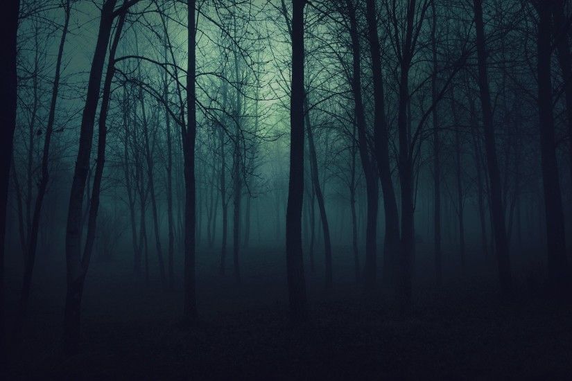 2560x1600 Wallpaper wood, trees, gloomy, fog, haze, darkness