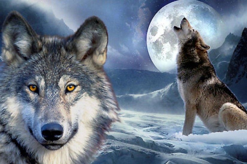 pin Drawn howling wolf wallpaper #6
