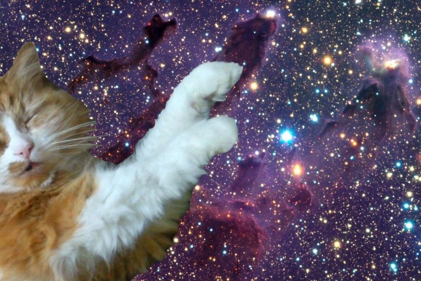 Galleries Related: Tumblr Cat Trippy , Tumblr Cat Background ,
