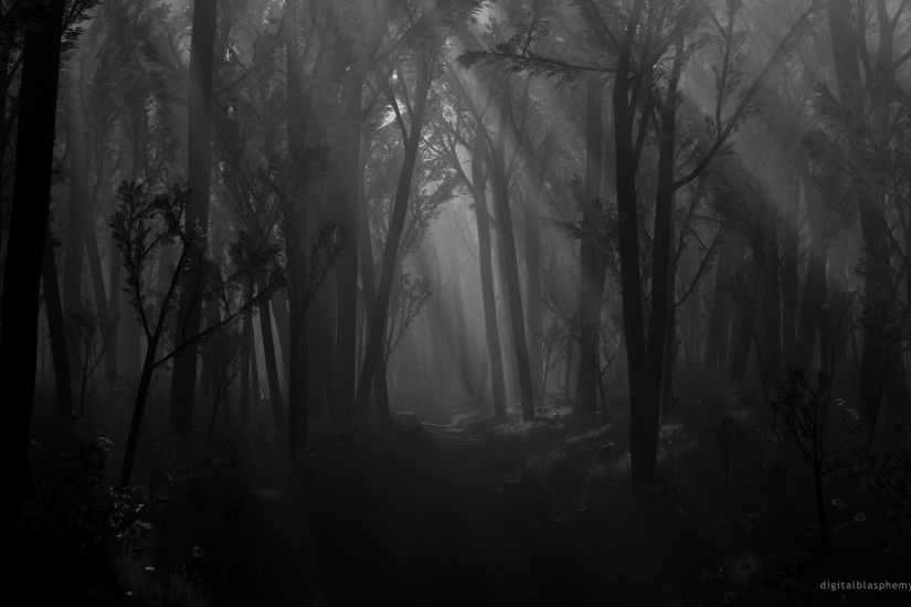 Dark Black and White Wallpaper | ... in the dark forest via garganta he