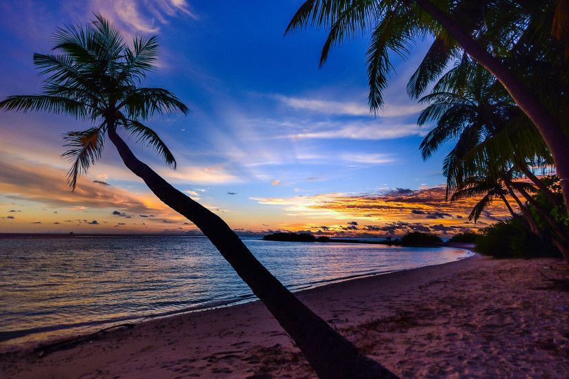 coconut-trees-beach-clouds-w7.jpg