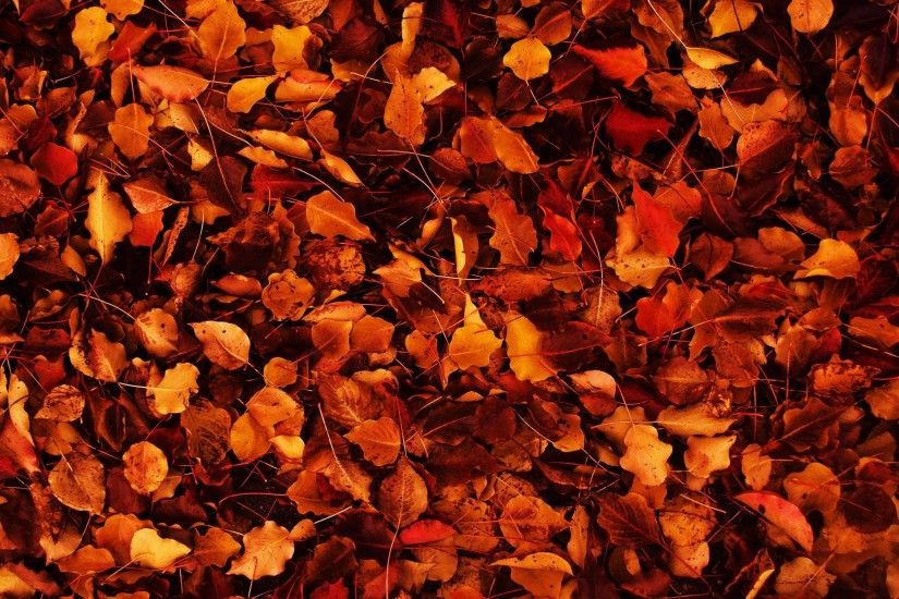 Tumblr Backgrounds Autumn