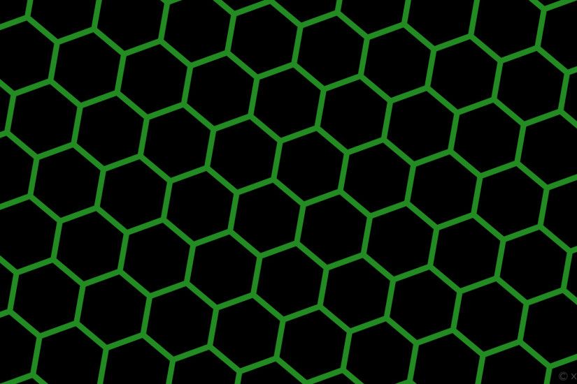 wallpaper beehive honeycomb black green hexagon forest green #000000  #228b22 diagonal 50Â° 16px