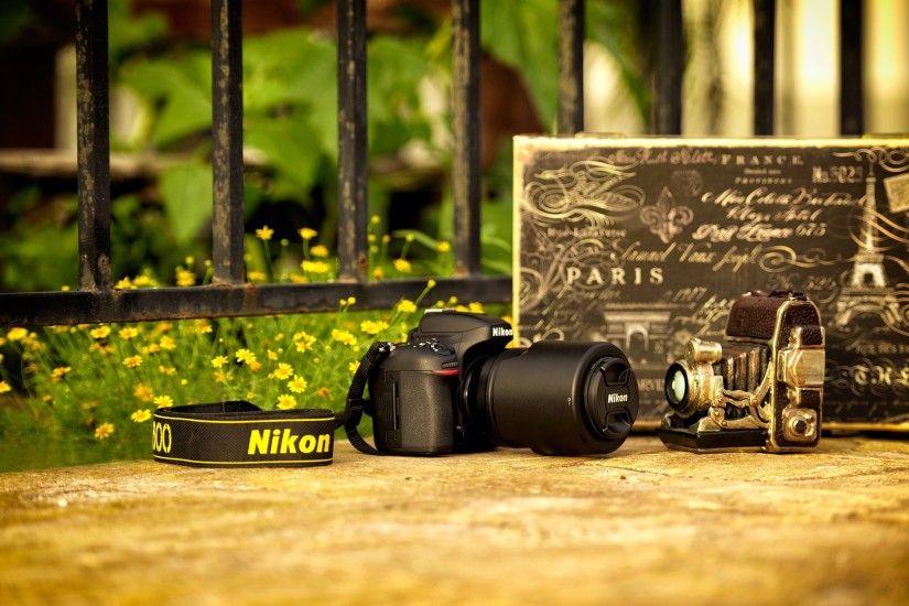 Nikon camera and vintage camera
