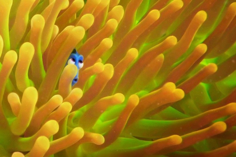 Finding Dory Pictures Finding Dory HQ wallpapers