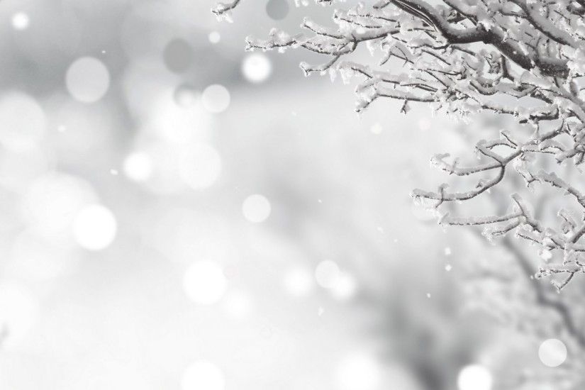 Splendor Christmas Xmas Bokeh Merry Time Magic Snow Holidays Tree Snowy  Winter Elegant Wallpaper - 4350x3518