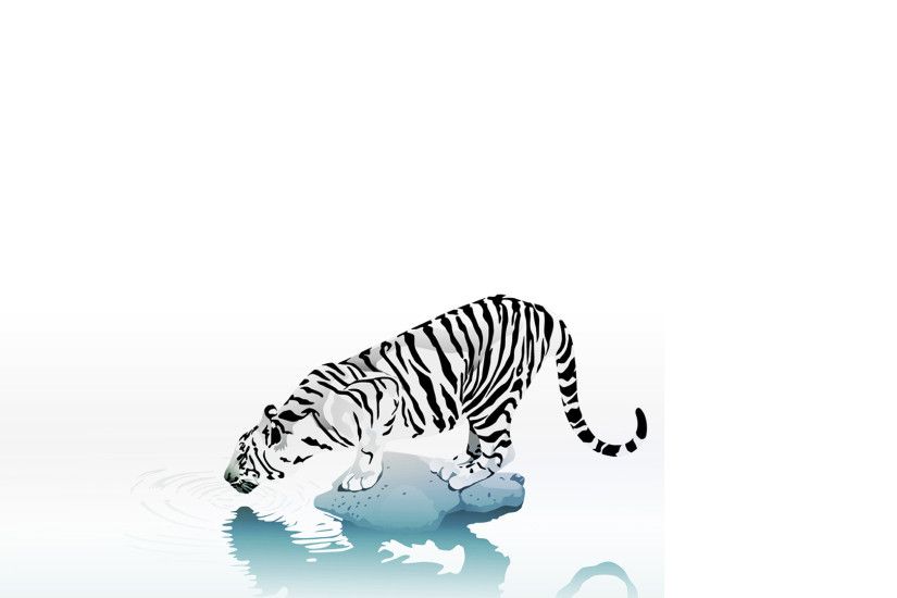 Minimalistic Tigers White Background Tiger