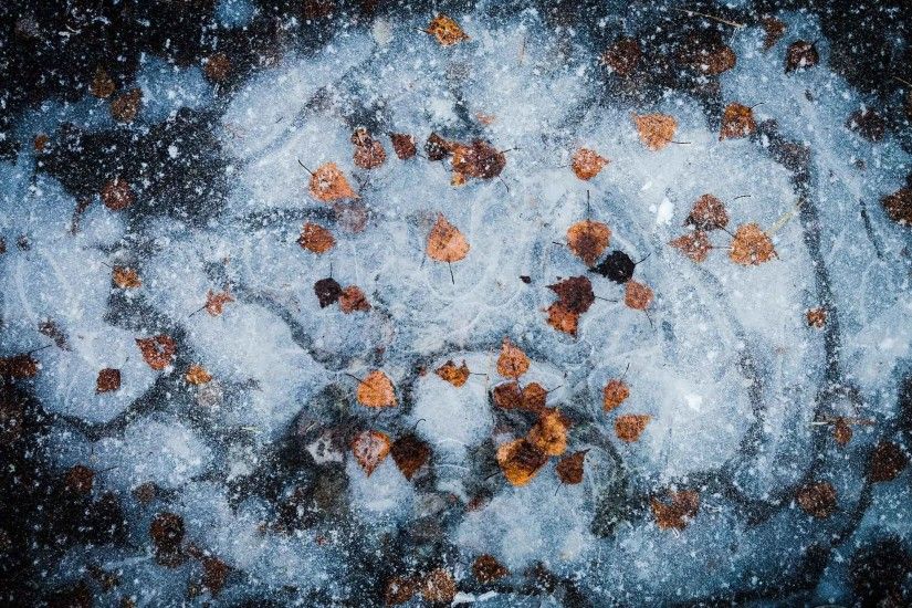 Nature Sculptures Ice Frozen Water Winter Macro Art Textures Reflexions Wallpaper  Desktop Background Full Screen HD