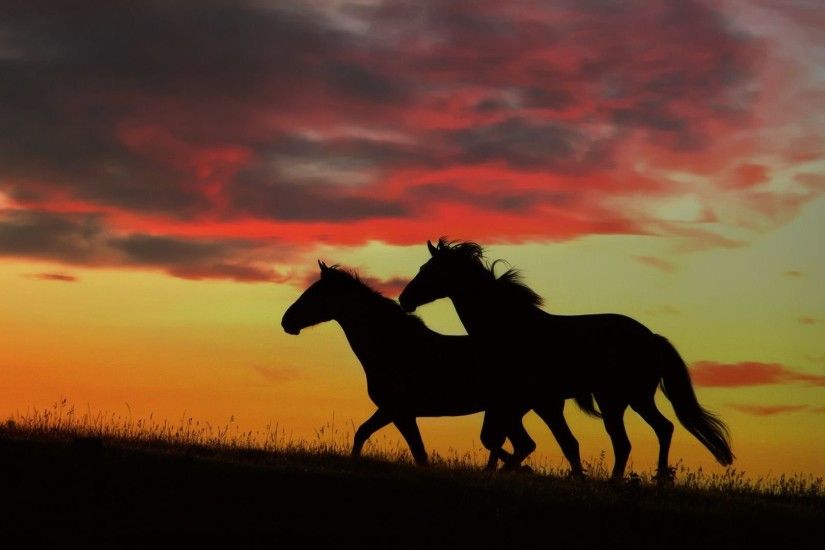 Horse Sunset Wallpapers Mobile