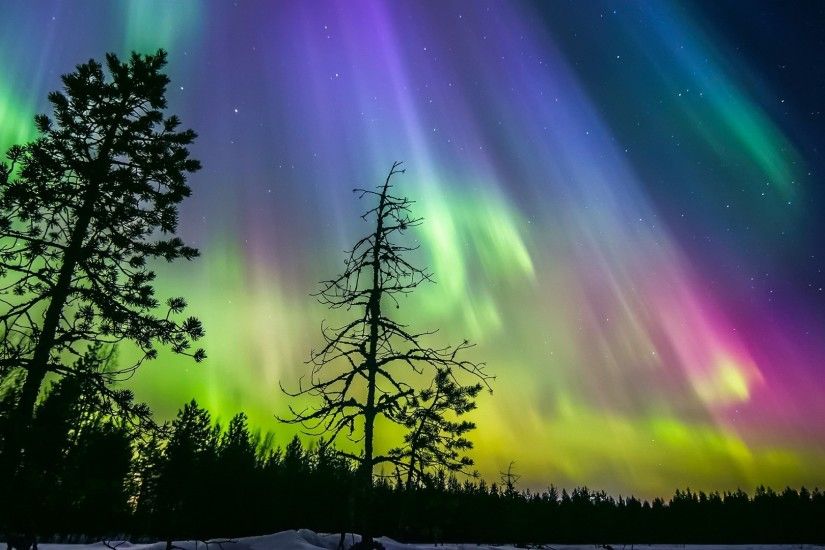 nature, Landscape, Silhouette, Trees, Long Exposure, Finland, Night,  Winter, Snow, Stars, Aurorae, Forest, Pine Trees, Colorful Wallpapers HD /  Desktop and ...