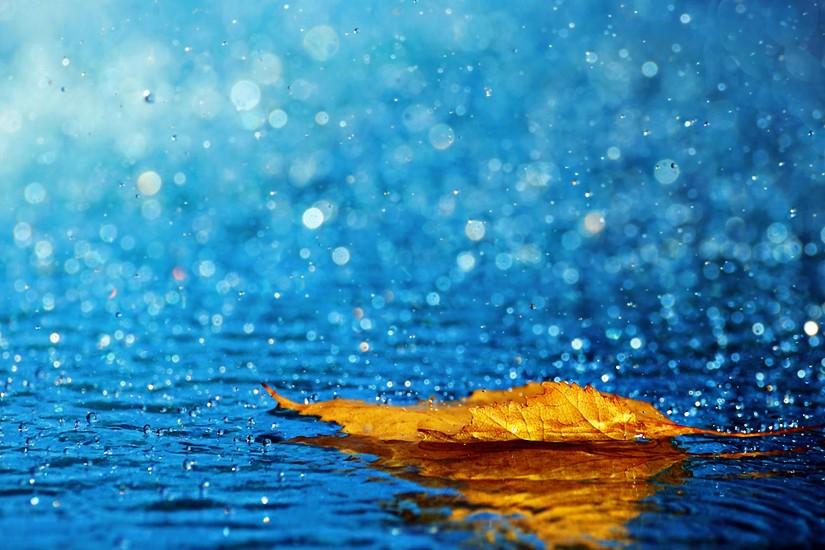 Rain HD Wallpapers For Desktop | One HD Wallpaper Pictures Backgrounds .