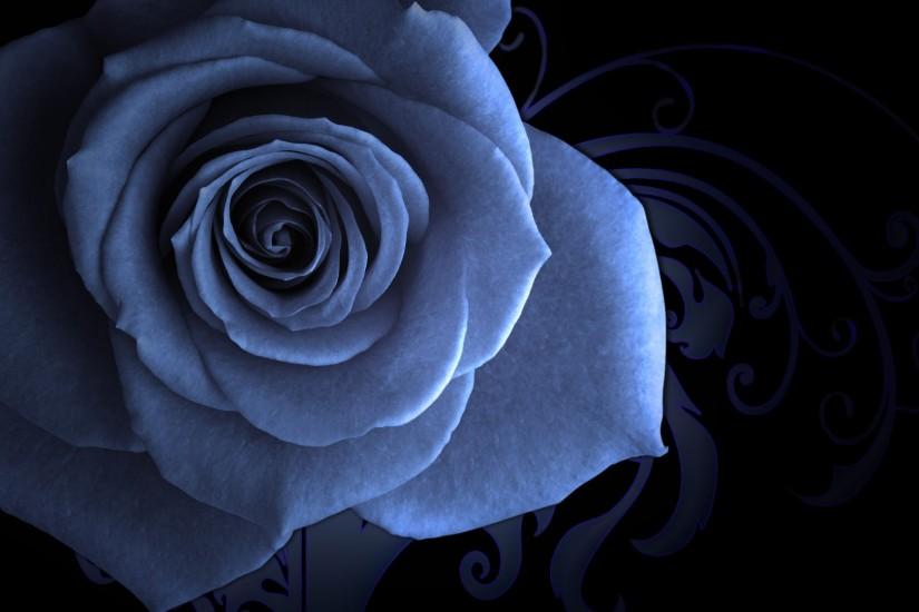 Blue rose on a beautiful background