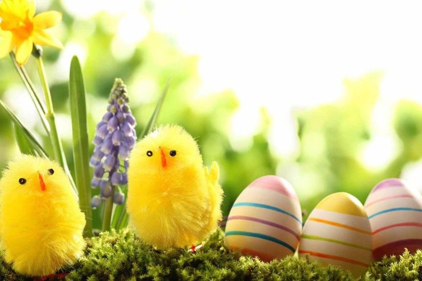 Chicks Cute Easter Wallpaper