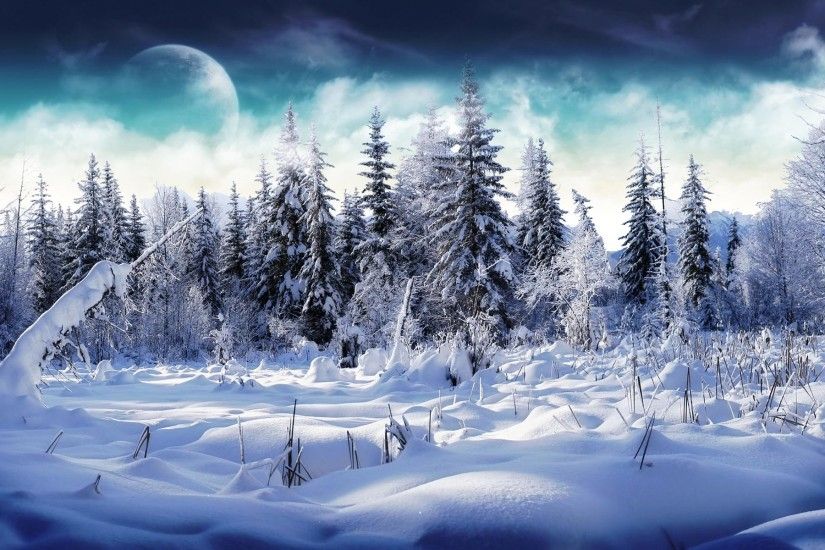 Snow and Snowflakes images Winter HD wallpaper and background photos