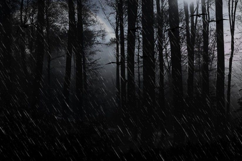 Wallpapers Dark Evil Rain Showers Forest Trees 1920x1080PX .