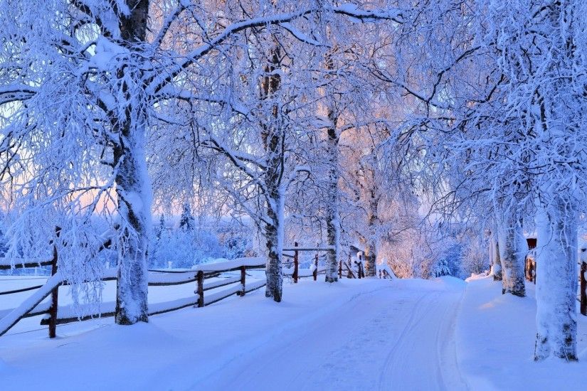 Snow Path Wallpaper Winter Nature Wallpapers Wallpapers and 2133Ã1200