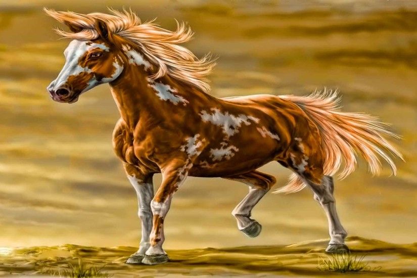paint horse wallpaper - Google zoeken