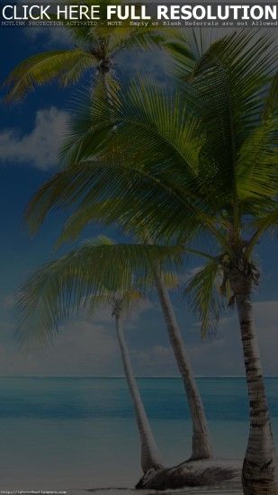 Caribbean sea and coconut palms Android wallpaper - Android HD wallpapers
