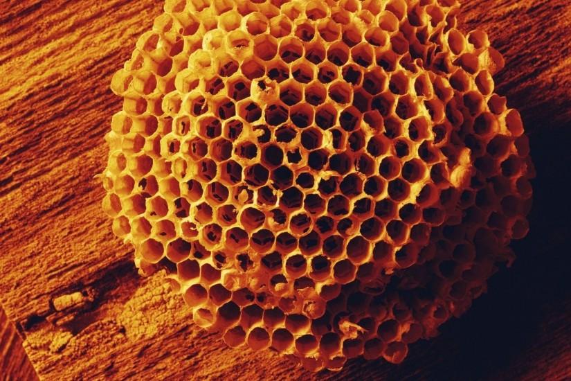 honeycomb background 1920x1080 for iphone 6