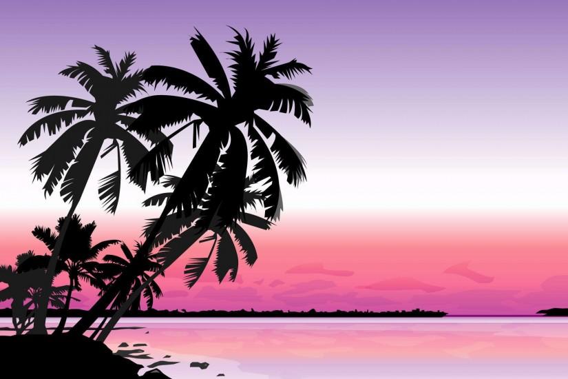 Palm tree hd wallpapers.