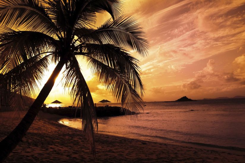 Summer beach, nature hd wallpapers for YOU from -> www.
