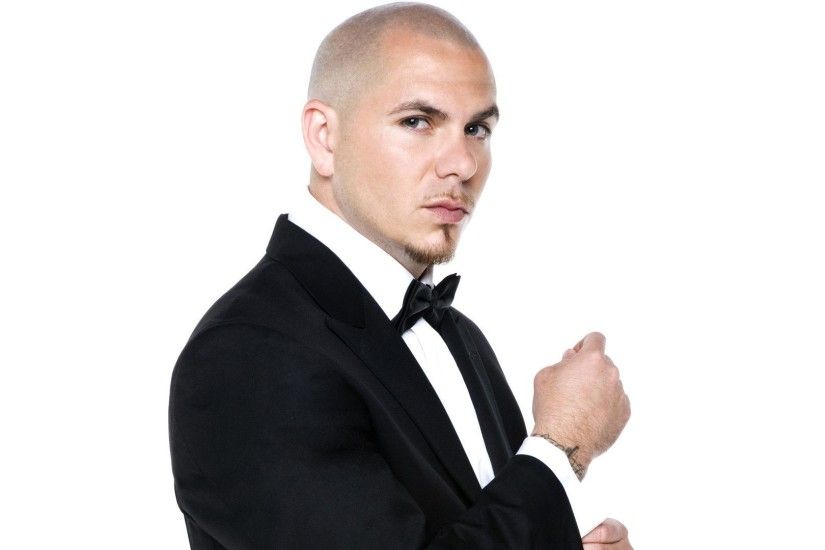 ... Pitbull High Quality Wallpapers ...