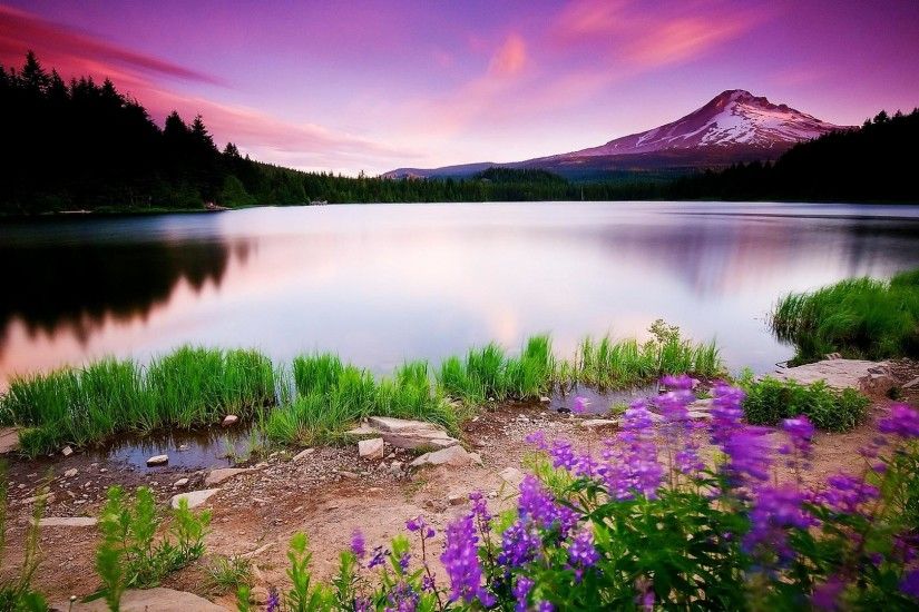 Colorful Nature HD Wallpapers Pictures