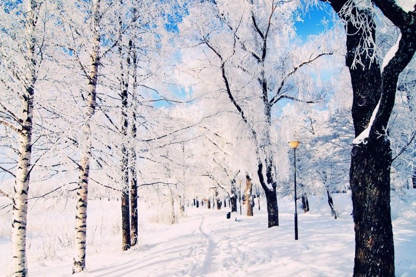Winter Backgrounds 18544