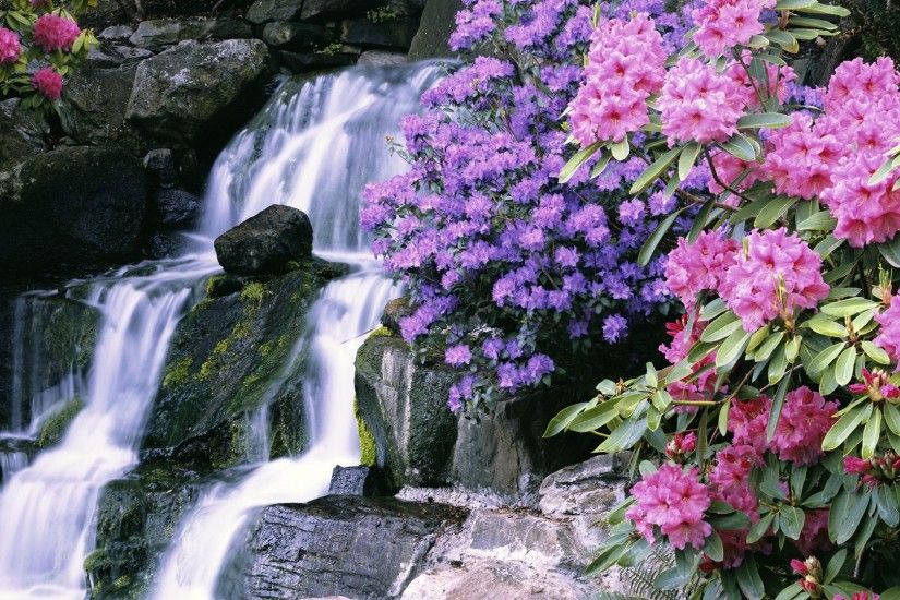 Waterfall in Crystal Springs Garden