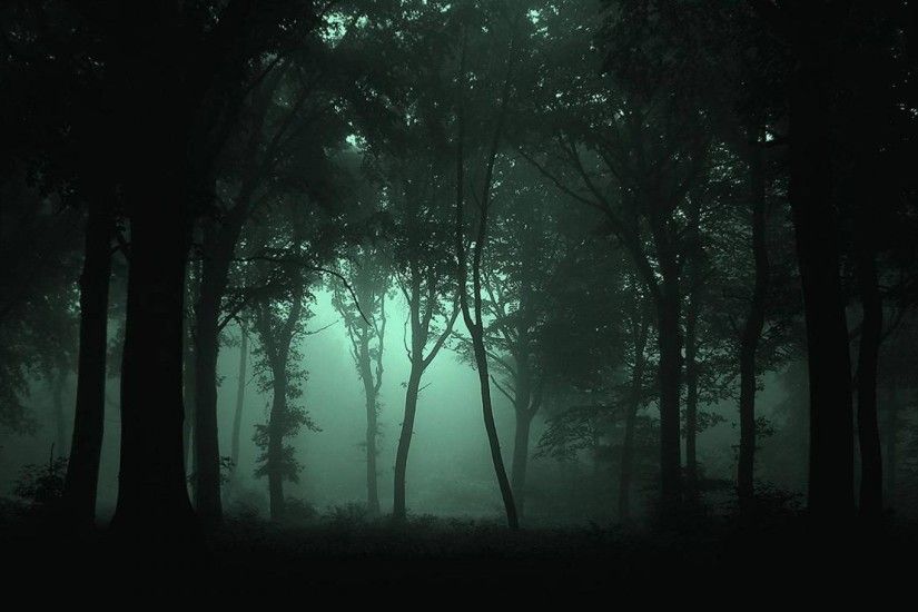 Dark Forest Wallpapers High Resolution Background 1 HD Wallpapers .