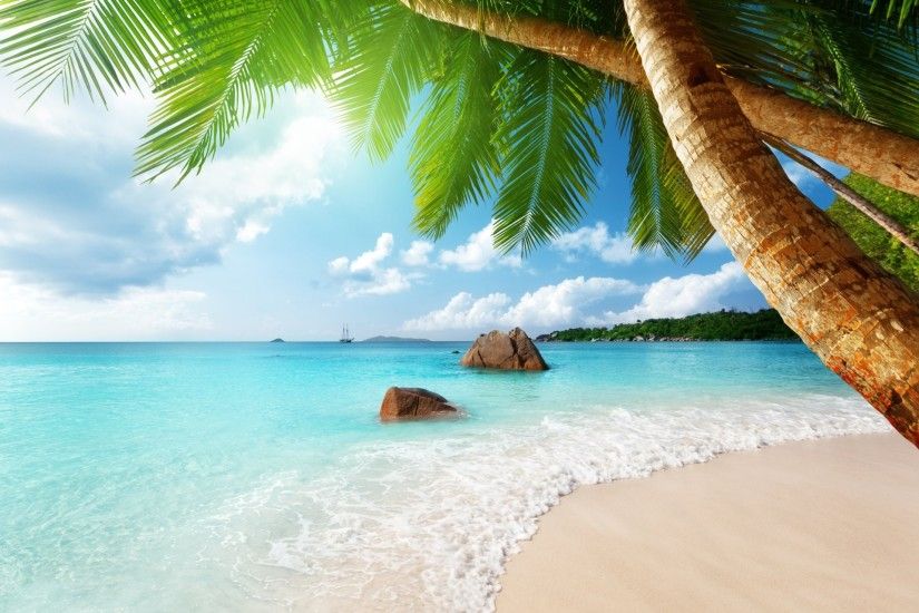 tropical paradise beach coast sea blue emerald ocean palm summer sand  vacation tropics beach sand sea