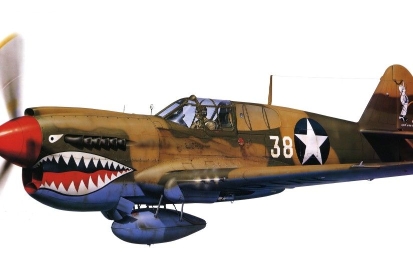 Warhawk military war art painting airplane aircraft weapon fighter d  wallpaper