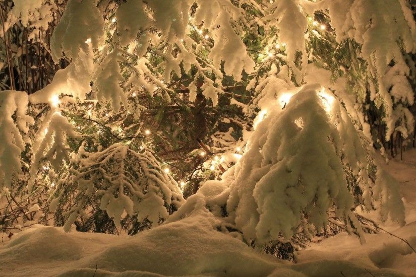 Heavy snow over the lights in the pine tree wallpaper