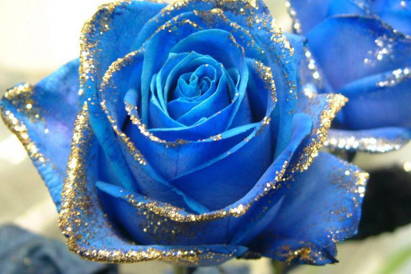 shiny blue rose image. super blue flower wallpaper