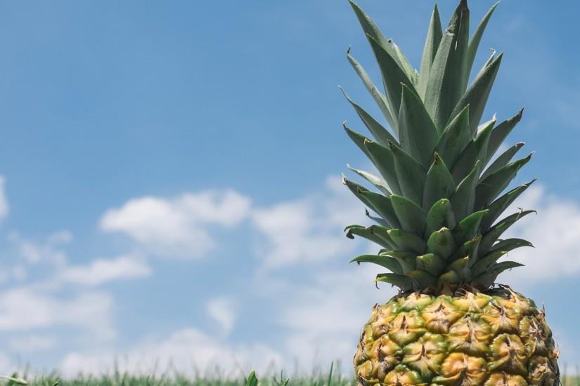 pineapple background 2000x1440 4k