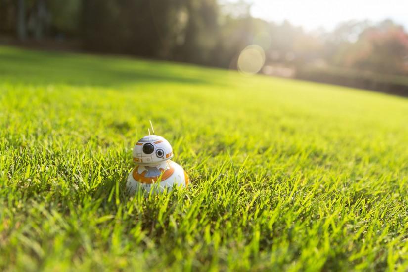 Sphero BB-8 in grass