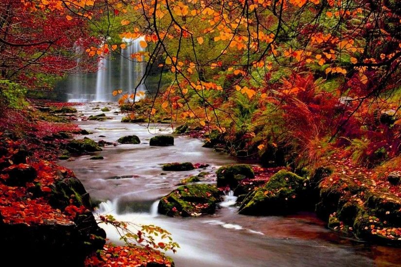 Fall Landscape Wallpaper | HD Autumn Trees Nature Landscape Leaf Leaves Desktop  Background Images .