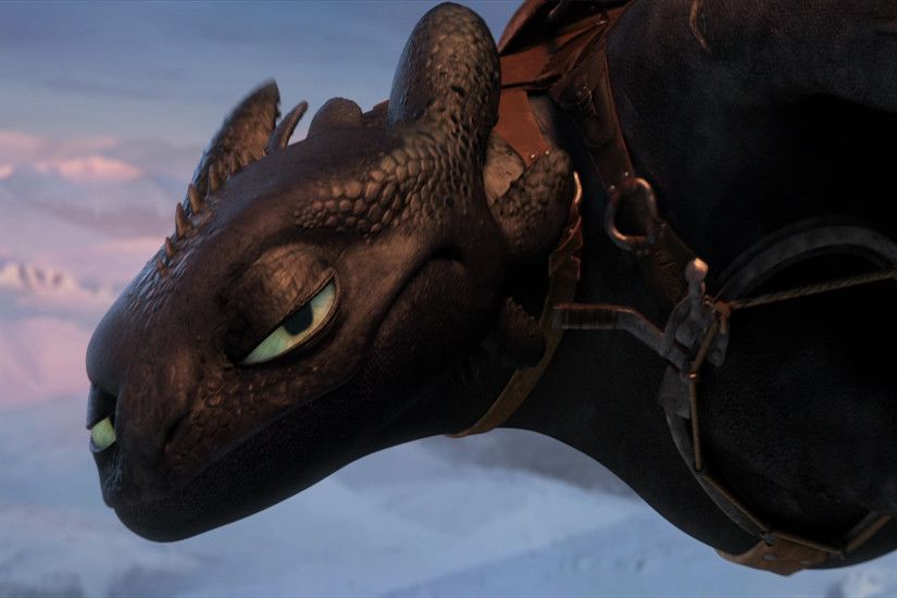 Movie - How to Train Your Dragon 2 Toothless (How to Train Your Dragon)