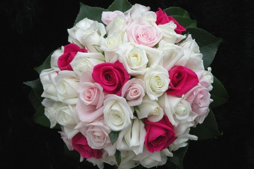2100x1470 Wallpaper roses, flowers, white, pink, flower, leaf, design,