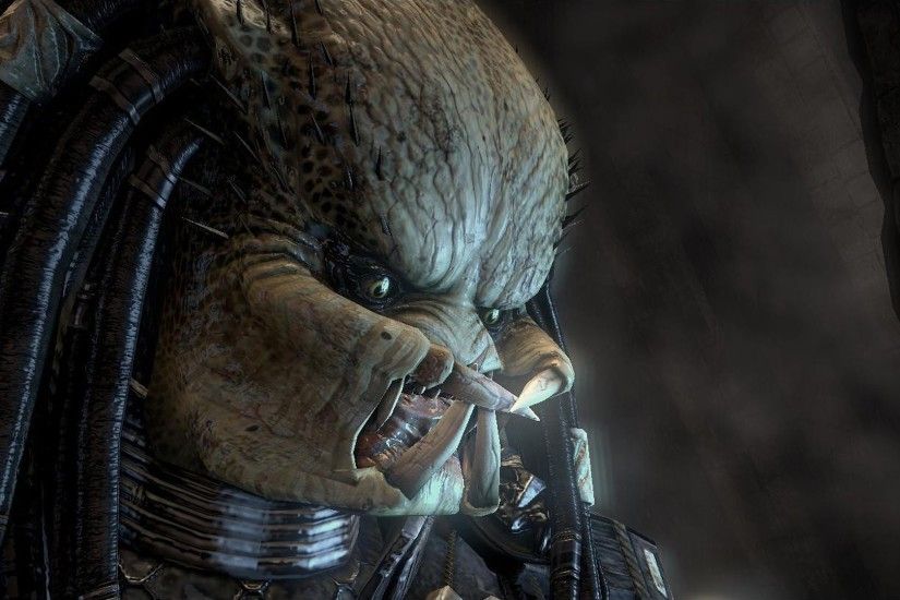 Sci Fi - Predator Movie Alien Wallpaper