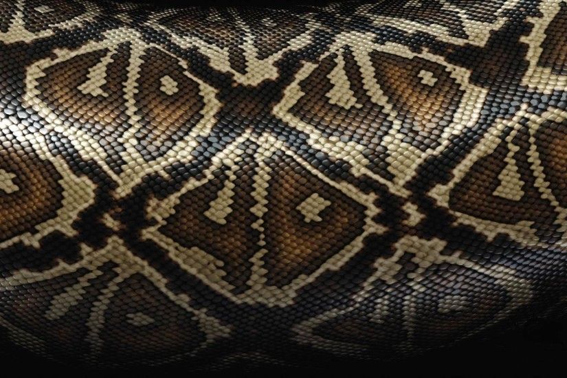 Preview wallpaper snake, scales, patterns, texture 1920x1080