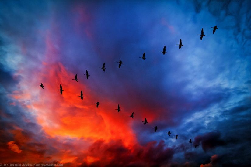 V Formation, Canada Geese Flying Through A Dramatic Sky At Heref Wallpaper  HD