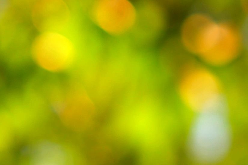 Natural background, blurred tree in golden light with bokeh. Stock Video  Footage - VideoBlocks