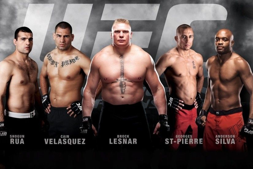 wallpaper men Â· UFC Â· Brock Lesnar